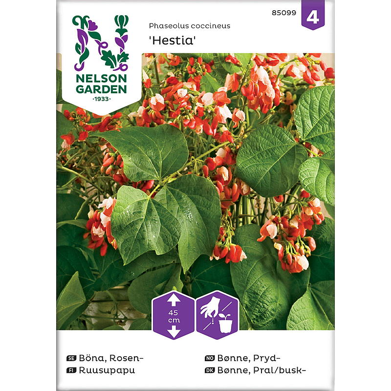 Nelson garden Frø Bønne Pryd-, Hestia, lav