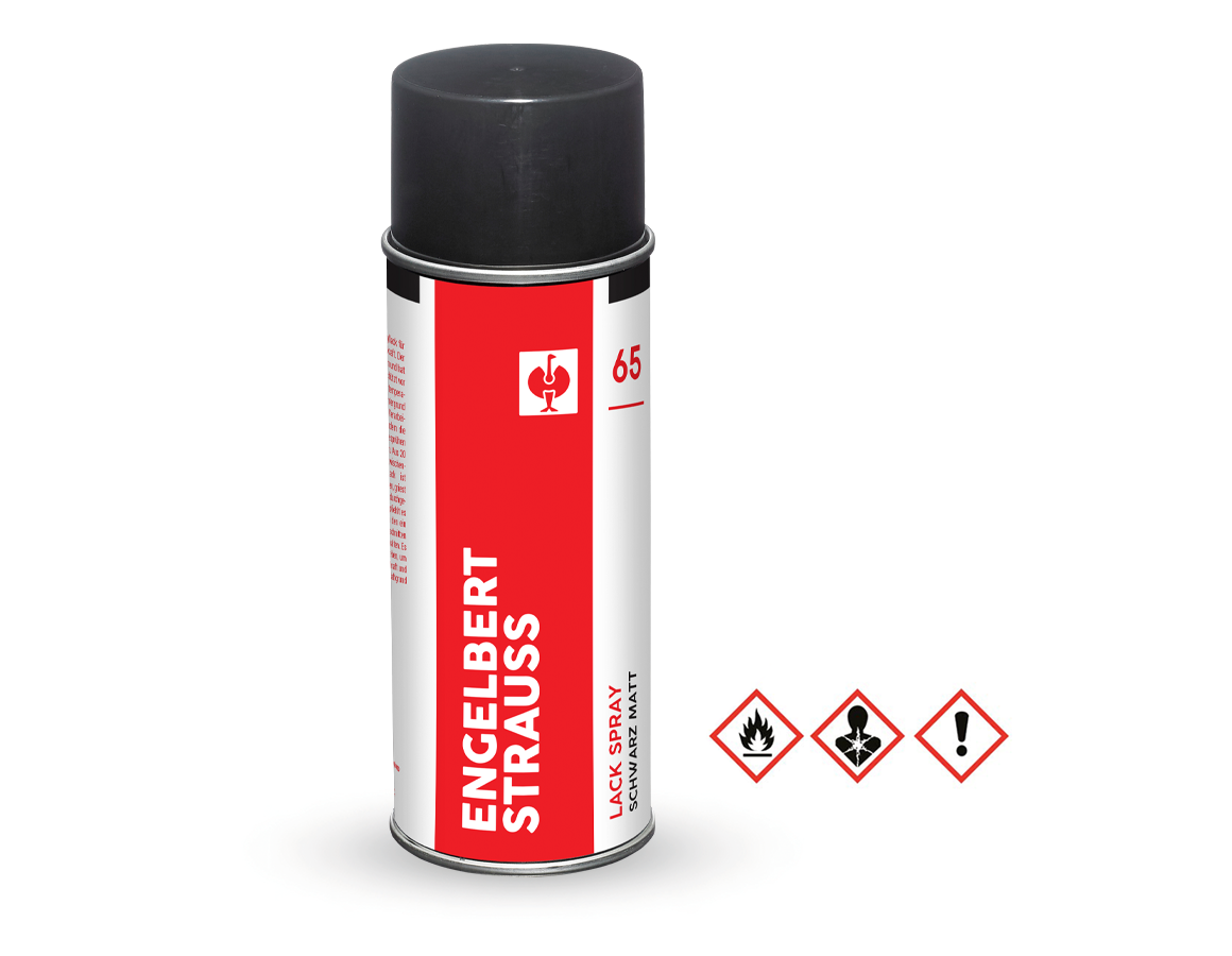 e.s. Lackspray #65