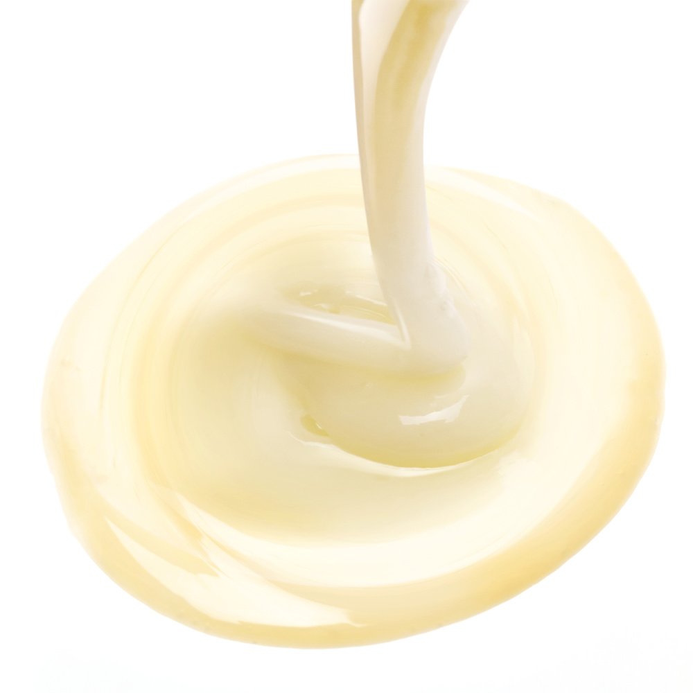 Leonor Greyl Shampooing Reviviscence Shampooing pour cheveux déshydratés, fragilisés, cassants