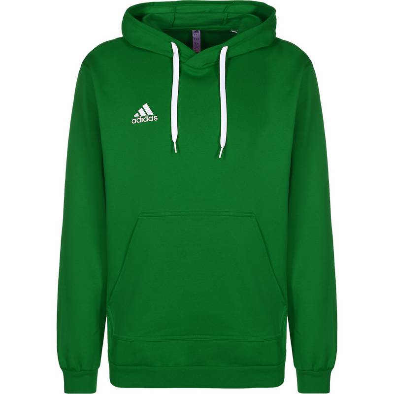 adidas Entrada 22 Hoodie Herren
