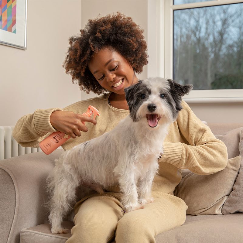 Pet Head Quick Fix Spray zu TOP-Preisen