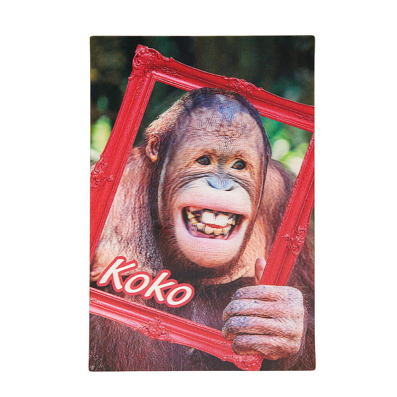 Kort 3D koko ape