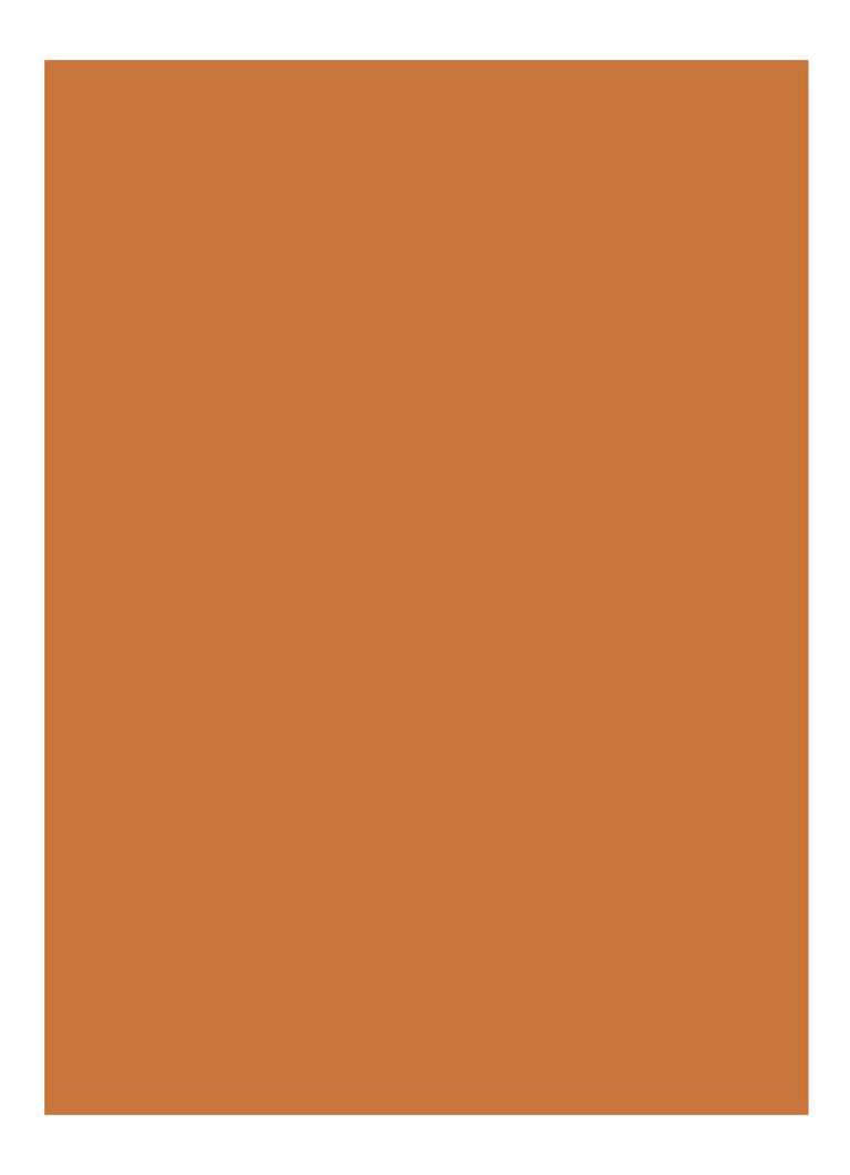 Bobbi Brown Luxe -huulipuna