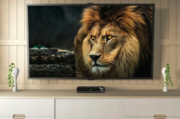 TELESTAR digiHD TS 13 2.0 SAT-Receiver