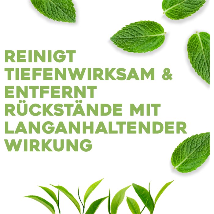 Teatree Mint Conditioner