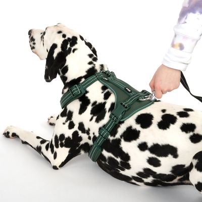 TIAKI Geschirr Neoprene, grün