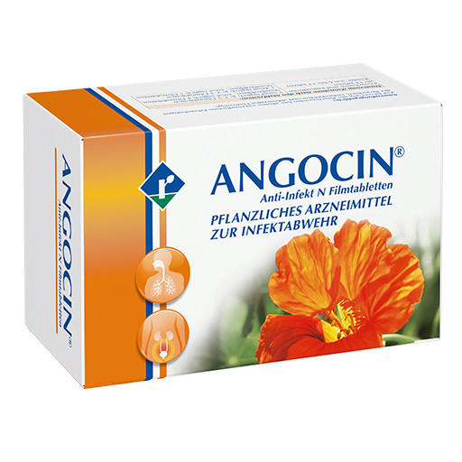 ANGOCIN Anti Infekt N Filmtabletten  500 St  Filmtabletten