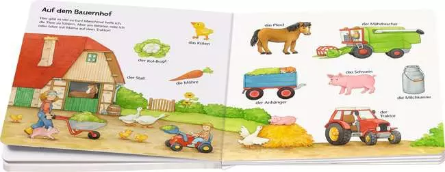 ministeps: Mein erstes großes Wörterbuch