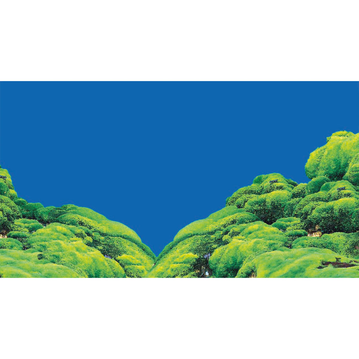 Hobby Aquarium Fotorückwand Spring / Moss kaufen