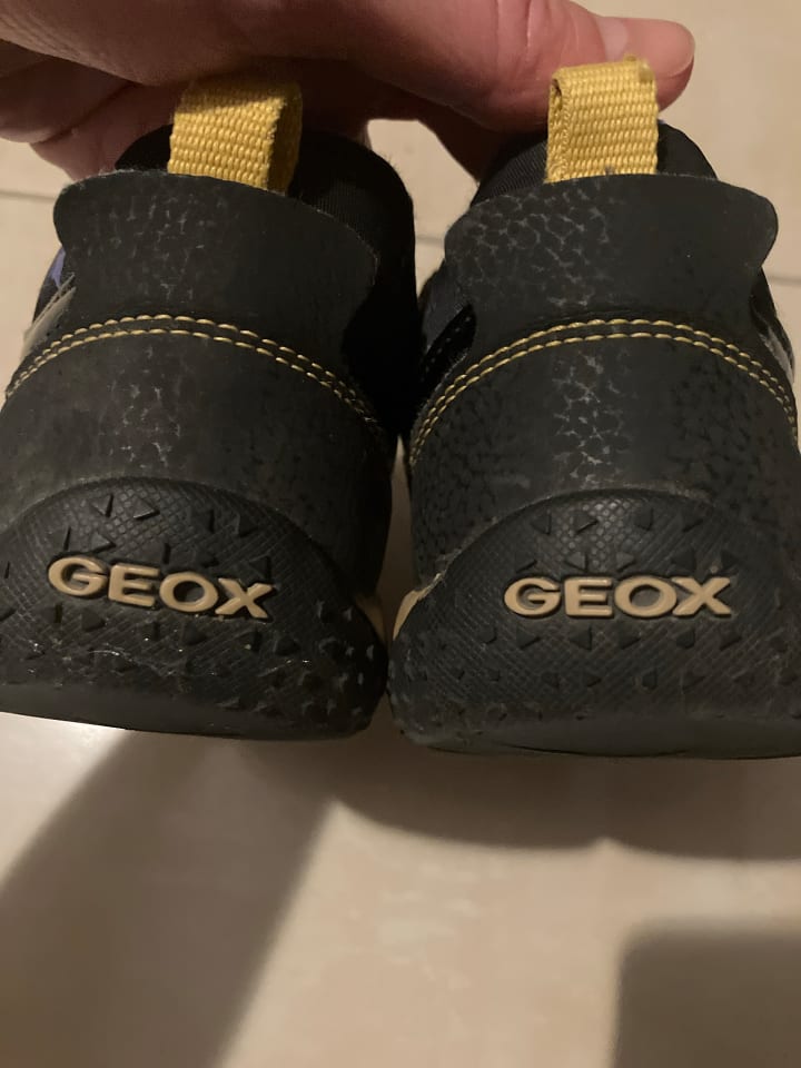 Geox Sneakers 