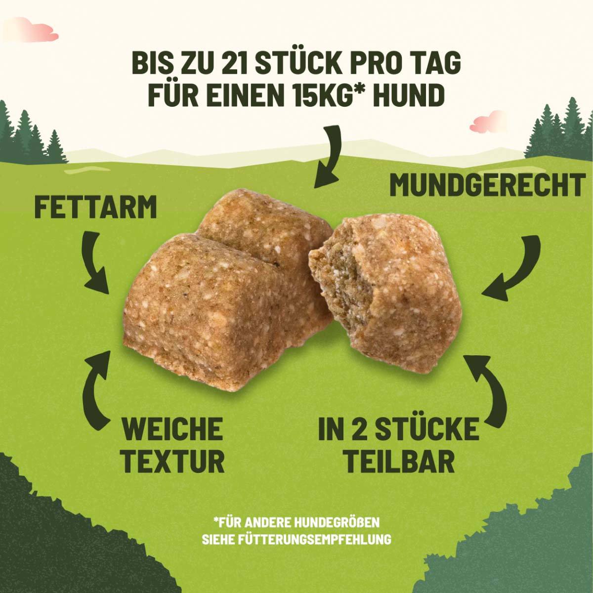 AdVENTuROS Training Lachs günstig kaufen bei ZooRoyal