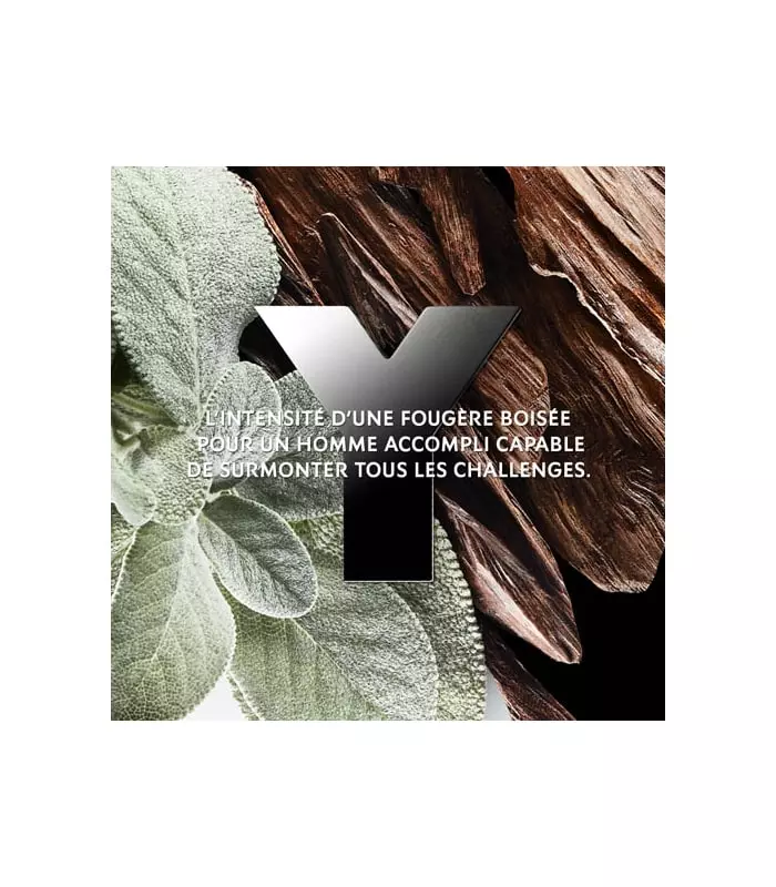 Y  Eau de Parfum Vaporisateur