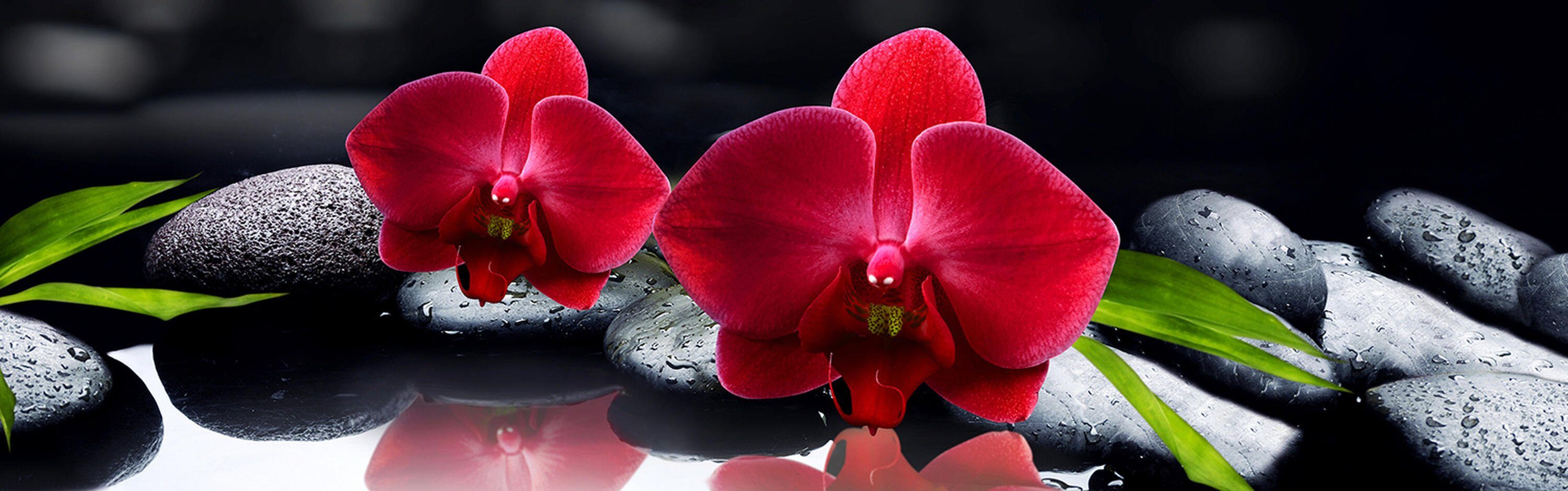 wandmotiv24 Küchenrückwand Orchidee rot Steine schwarz tropfen Spie, (1-tlg), Premium Hartschaum Nischenrückwand in versch. Größen