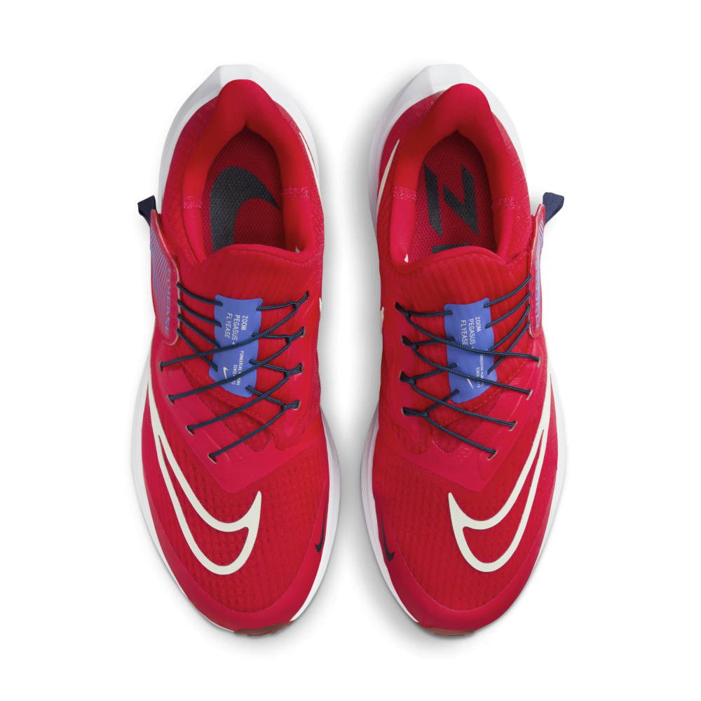 Nike Pegasus FlyEase DJ7381-601 / rot