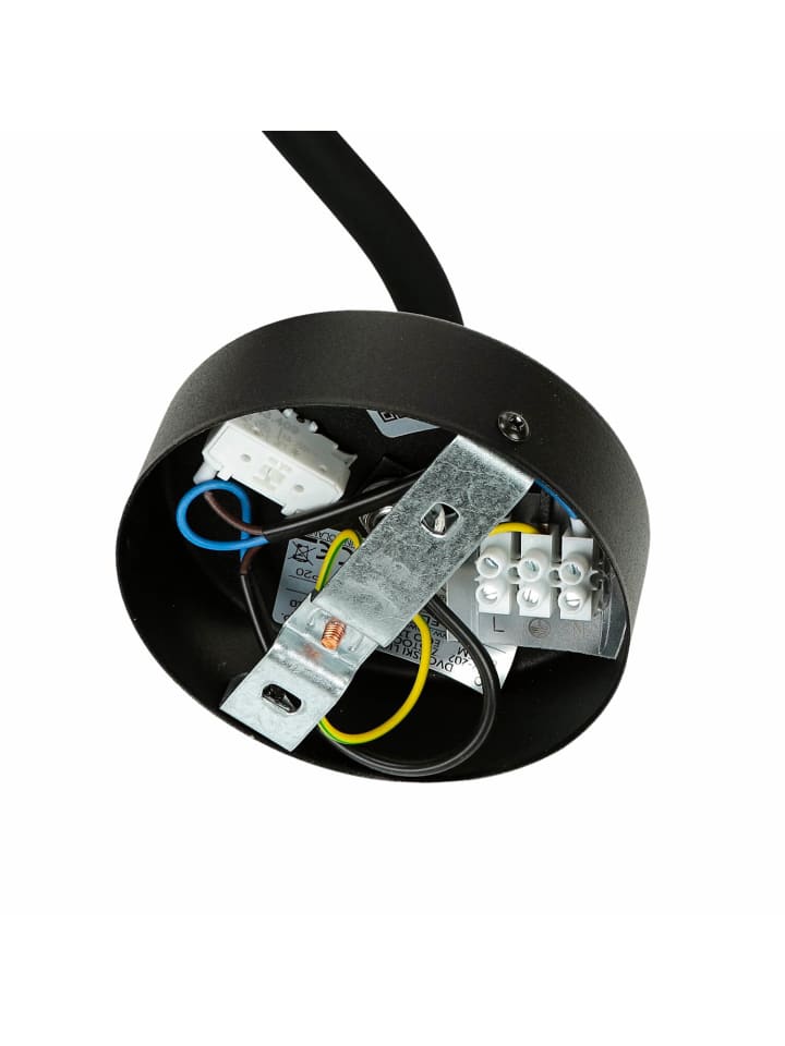 Licht-Erlebnisse Wandlampe in Schwarz günstig kaufen onesize