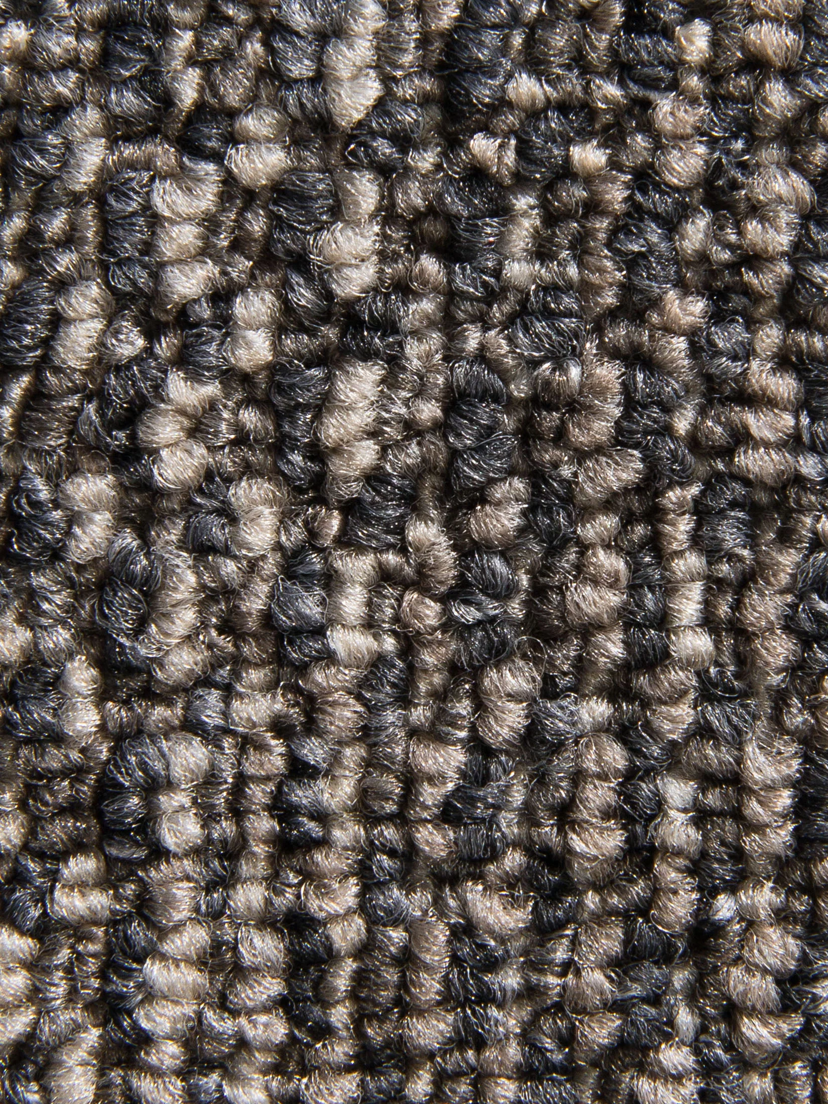 Quantum Teppichbodenfliese, Graubeige