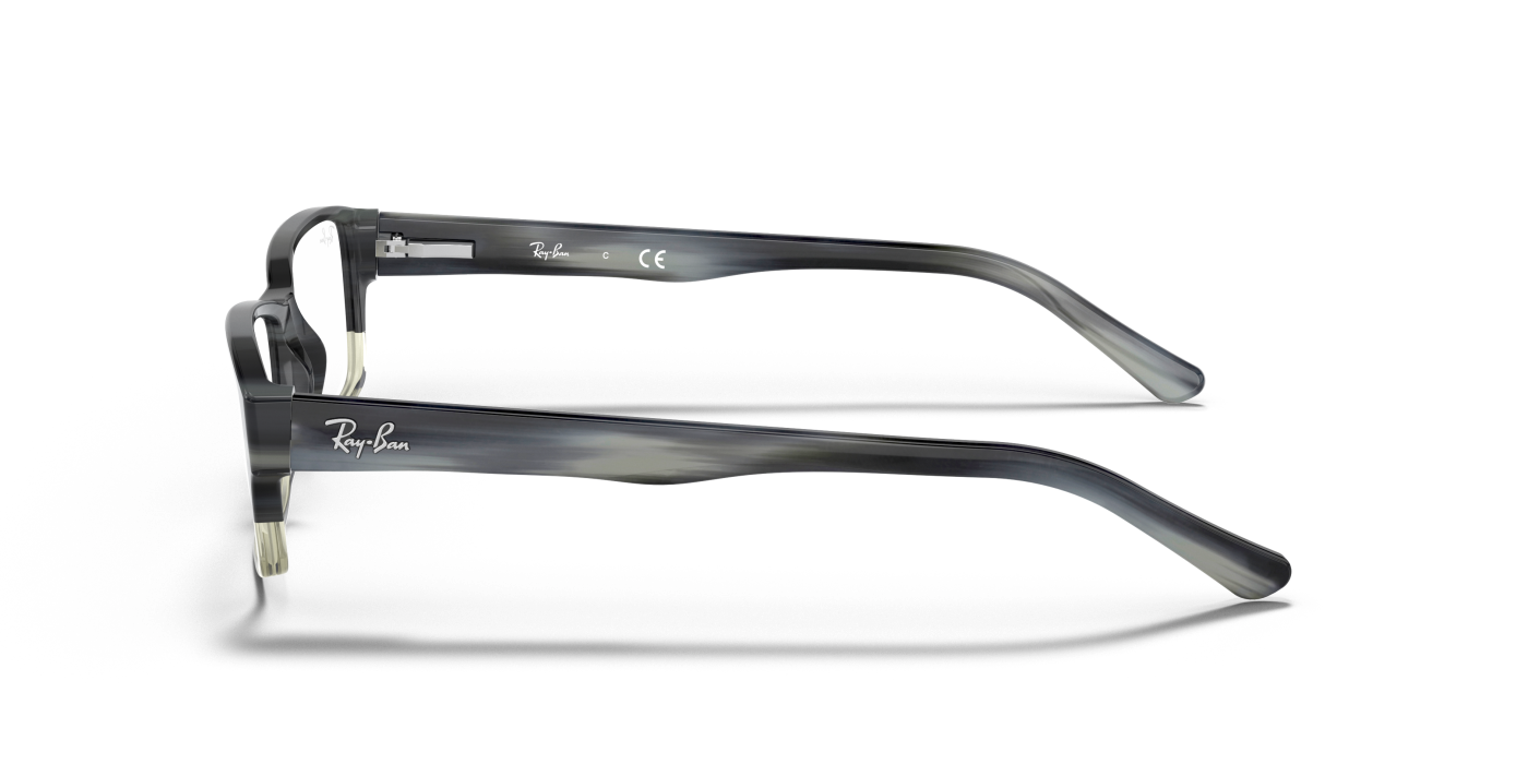 RB5169 OPTICS - Gri lucios