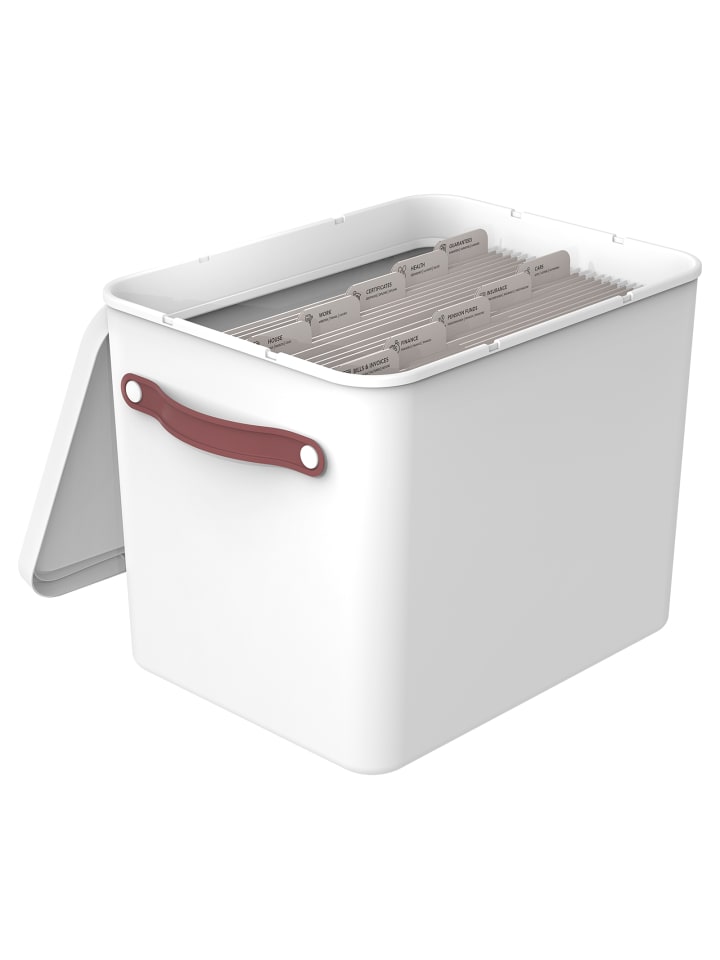 Rotho Archivbox Dokumentenorganizer MY PAPER Plus günstig kaufen onesize