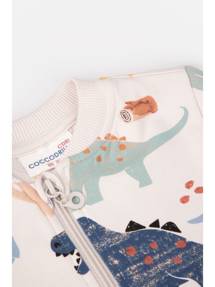 Coccodrillo Sweatshirt mit Reißverschluss in grau günstig kaufen