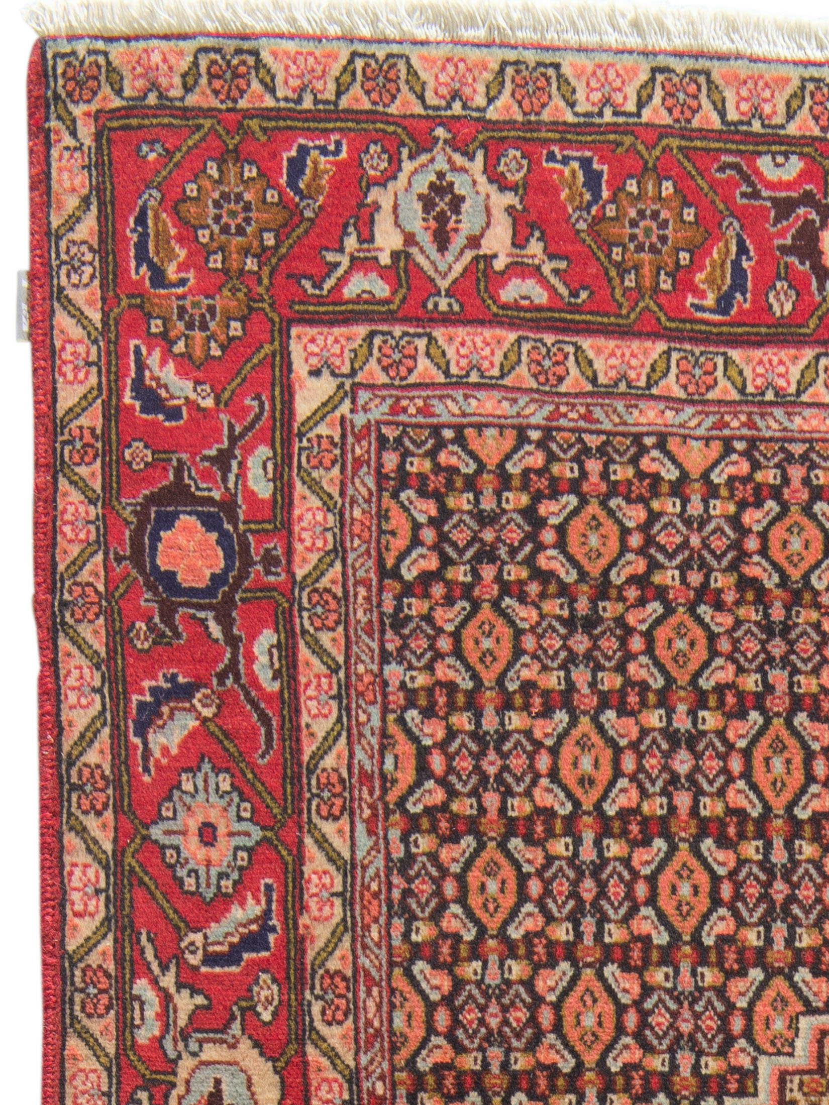 Senneh ca. 145 x 245 cm, Unikat / Einzelstück