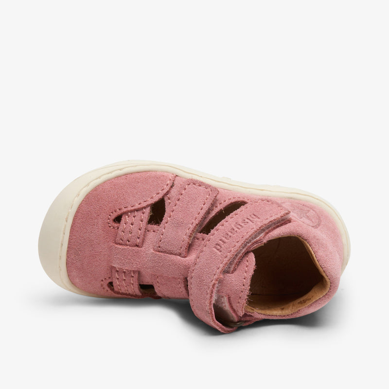 hana blush - Rose