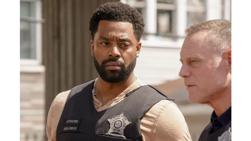 Chicago P.D. - Staffel 10  [5 DVDs]