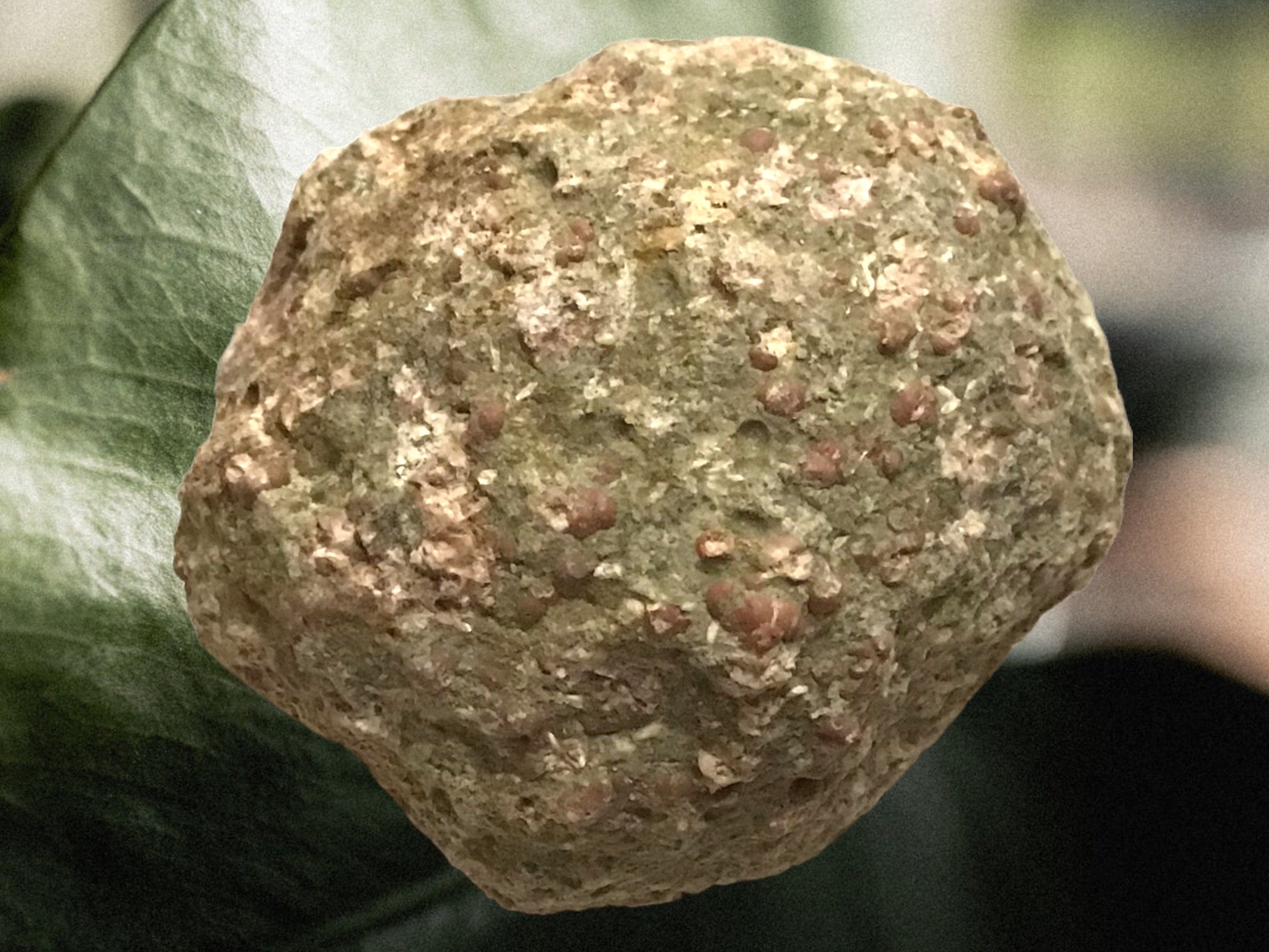 Steinfixx® Mineralstein Geodensammlung aus aller Welt 13 teilig zum selber aufbrechen, (1 Set, 1-St., Geoden verschiedener Größen und Arten), Geoden zum selber aufbrechen, naturbelassen im Set 13 Teile
