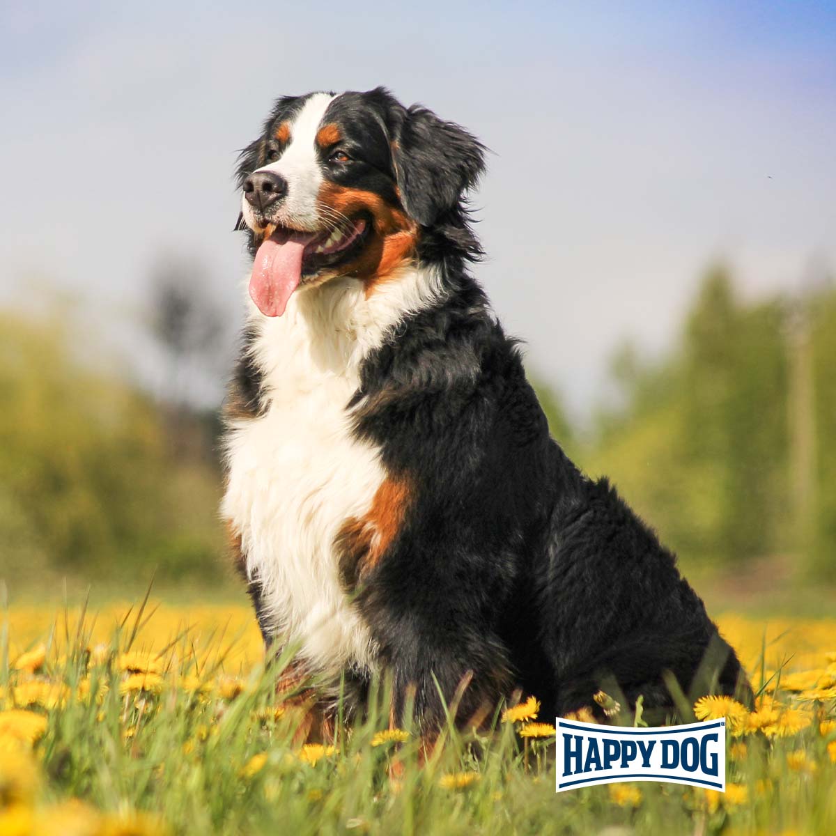 Happy Dog Supreme Care Sano N 7,5 kg günstig kaufen bei ZooRoyal