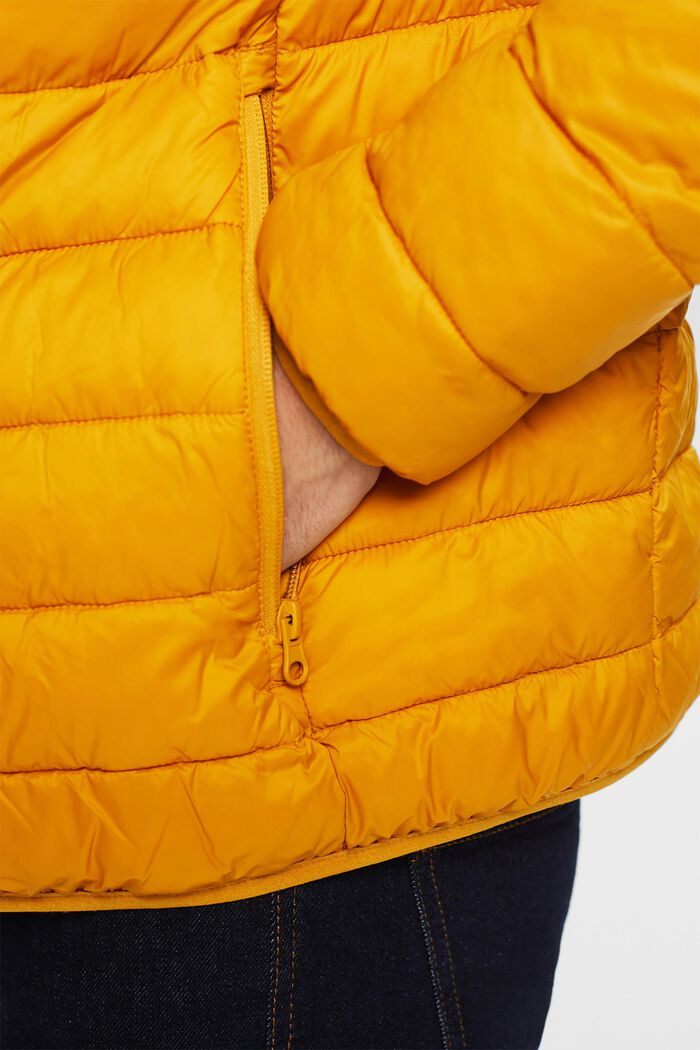 Steppjacke mit hohem Kragen