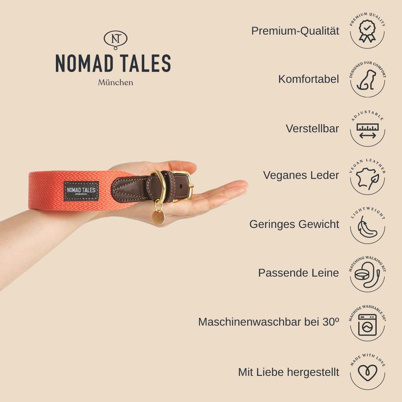 Sparset Nomad Tales Bloom Hundeleine + Halsband, sapphire | bitiba