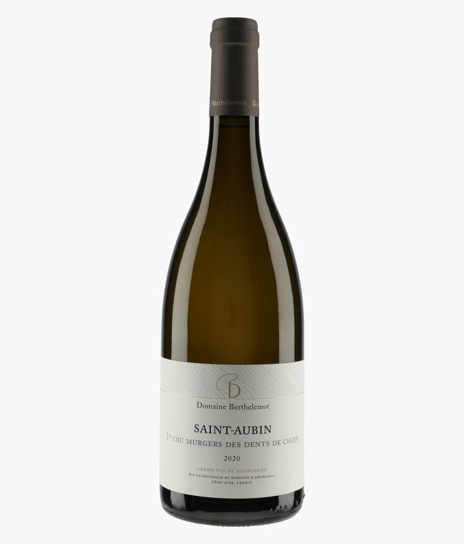 Saint-Aubin 1er Cru Murgers Des Dents de Chien 2020BERTHELEMOT
