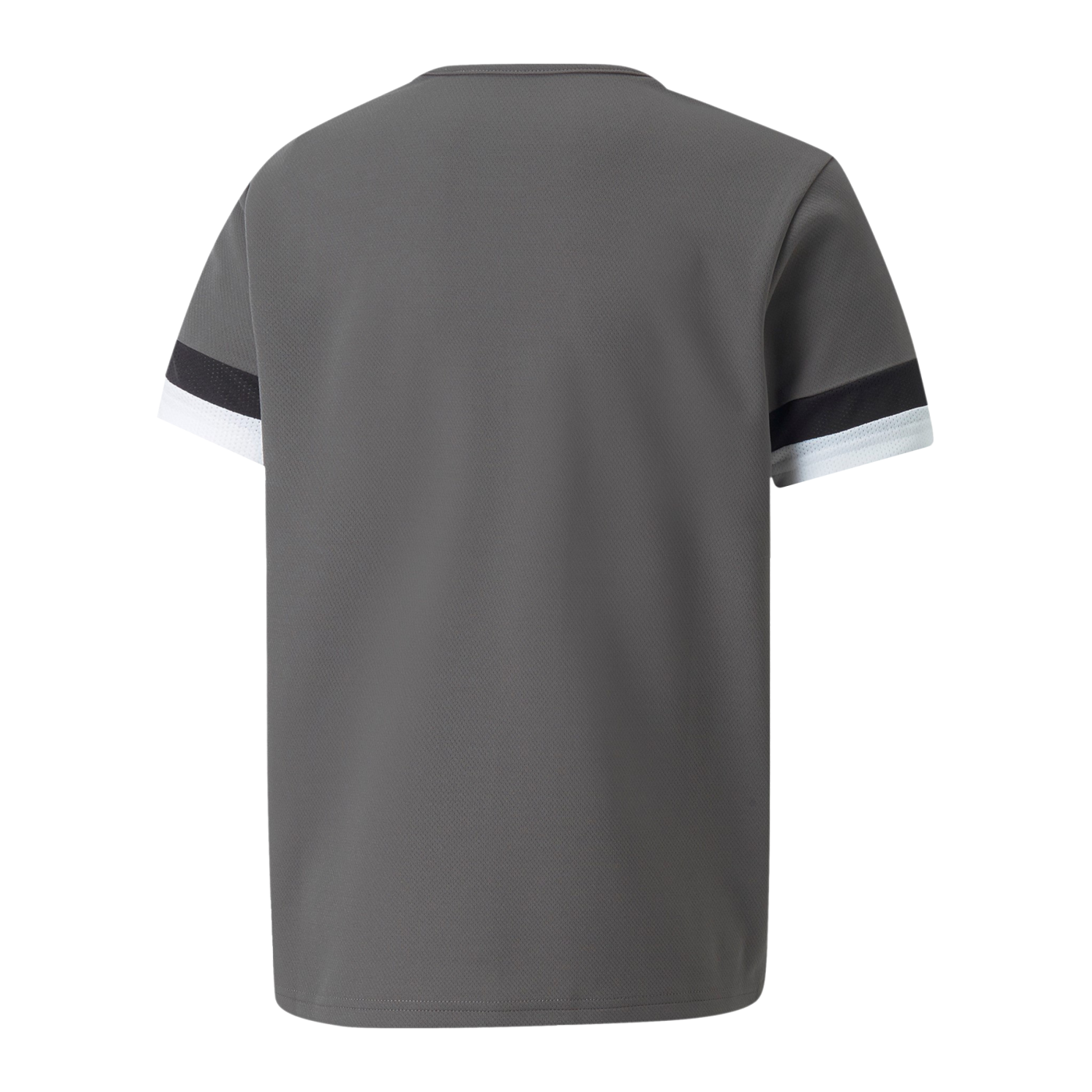 PUMA teamRISE Trikot Kids Grau F13