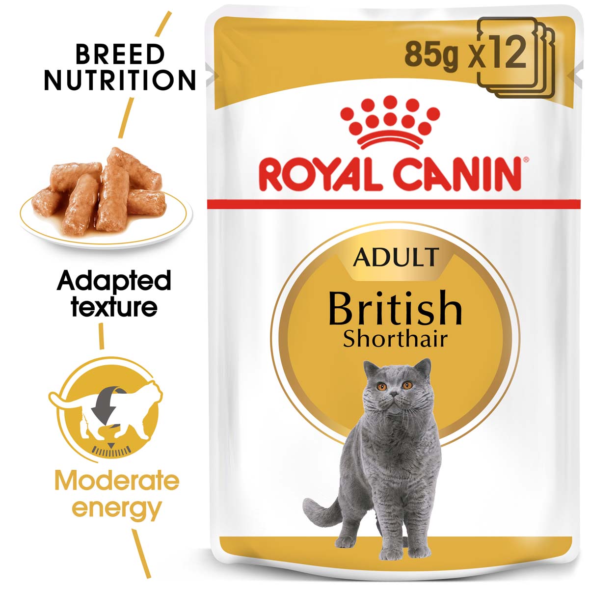 ROYAL CANIN ADULT British Shorthair 10kg + Nassfutter in Soße 48x85g