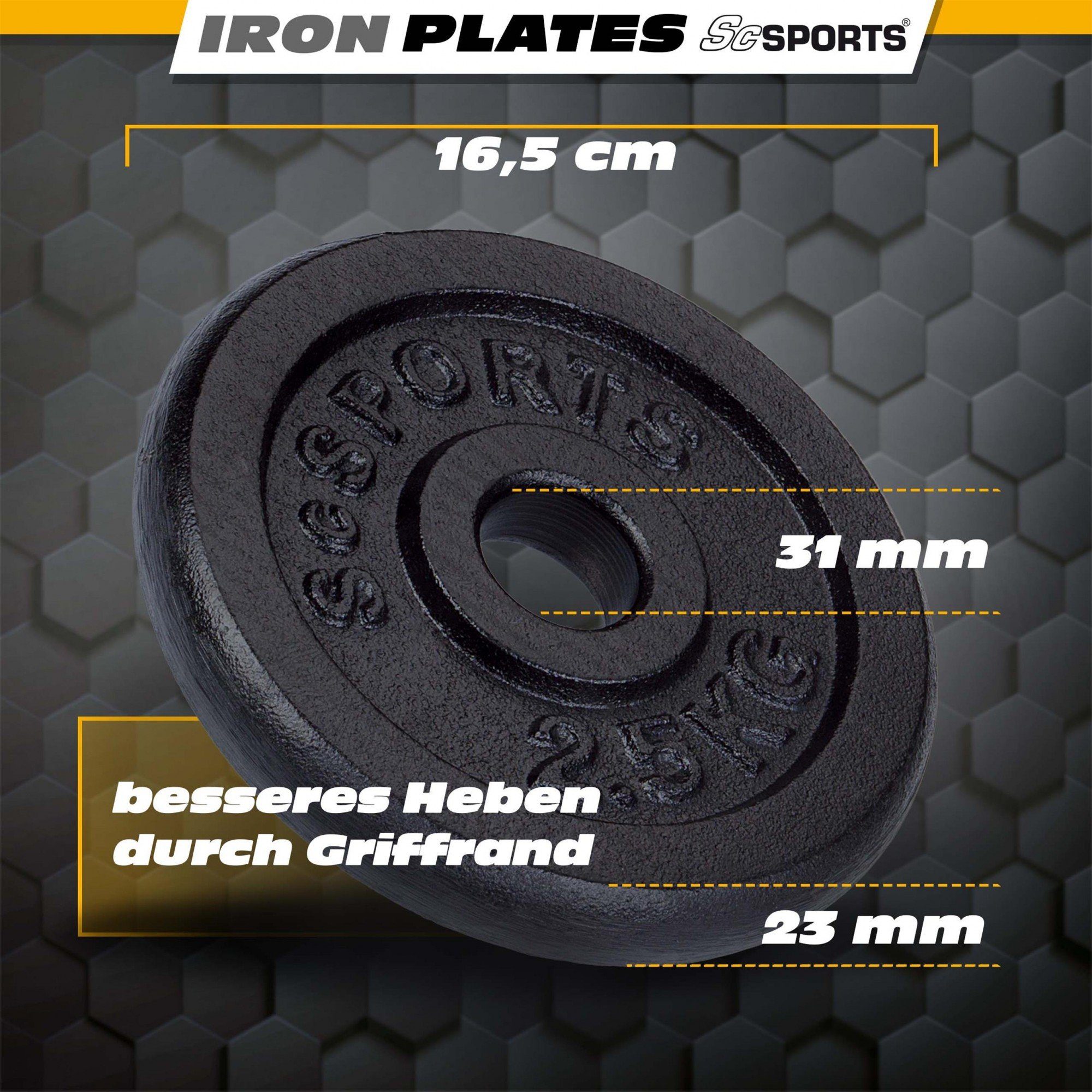 ScSPORTS® Hantelscheiben Set 25 kg 30/31mm Gusseisen Gewichtsscheiben Gewichte, (10003478-tlg)
