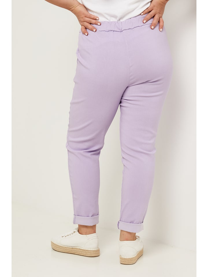 Curvy Lady Hose in Lila günstig kaufen