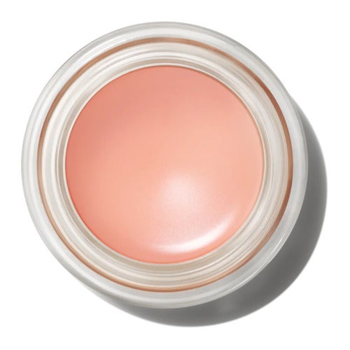 MAC Pro Longwear Paint Pot sjenilo za oči Bare Study 5 grama