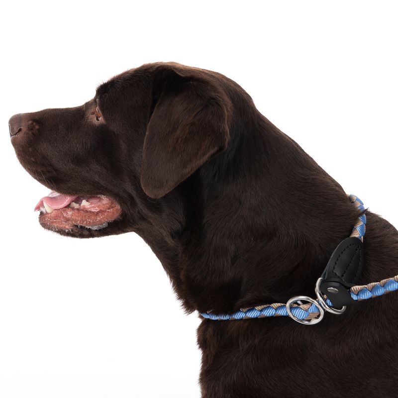 TIAKI Retrieverleine Twist zu TOP-Preisen