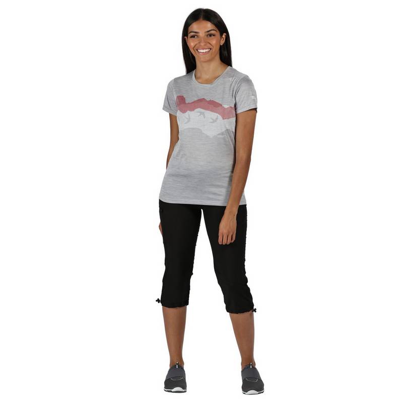 Regatta Xert Capri Wanderhose Damen