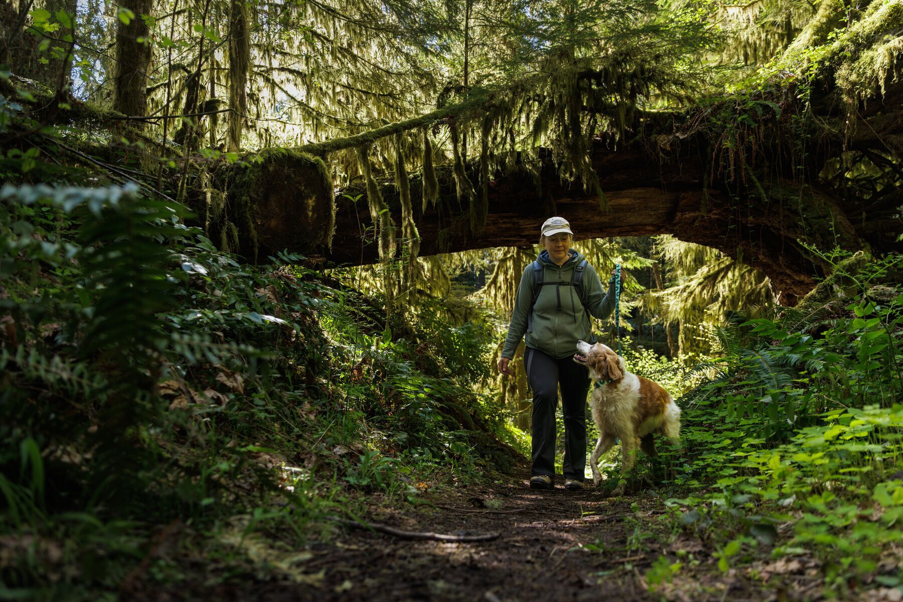 Ruffwear Hundeleinen Ruffwear Reflektierende Hundeleine Crag™ seegrün