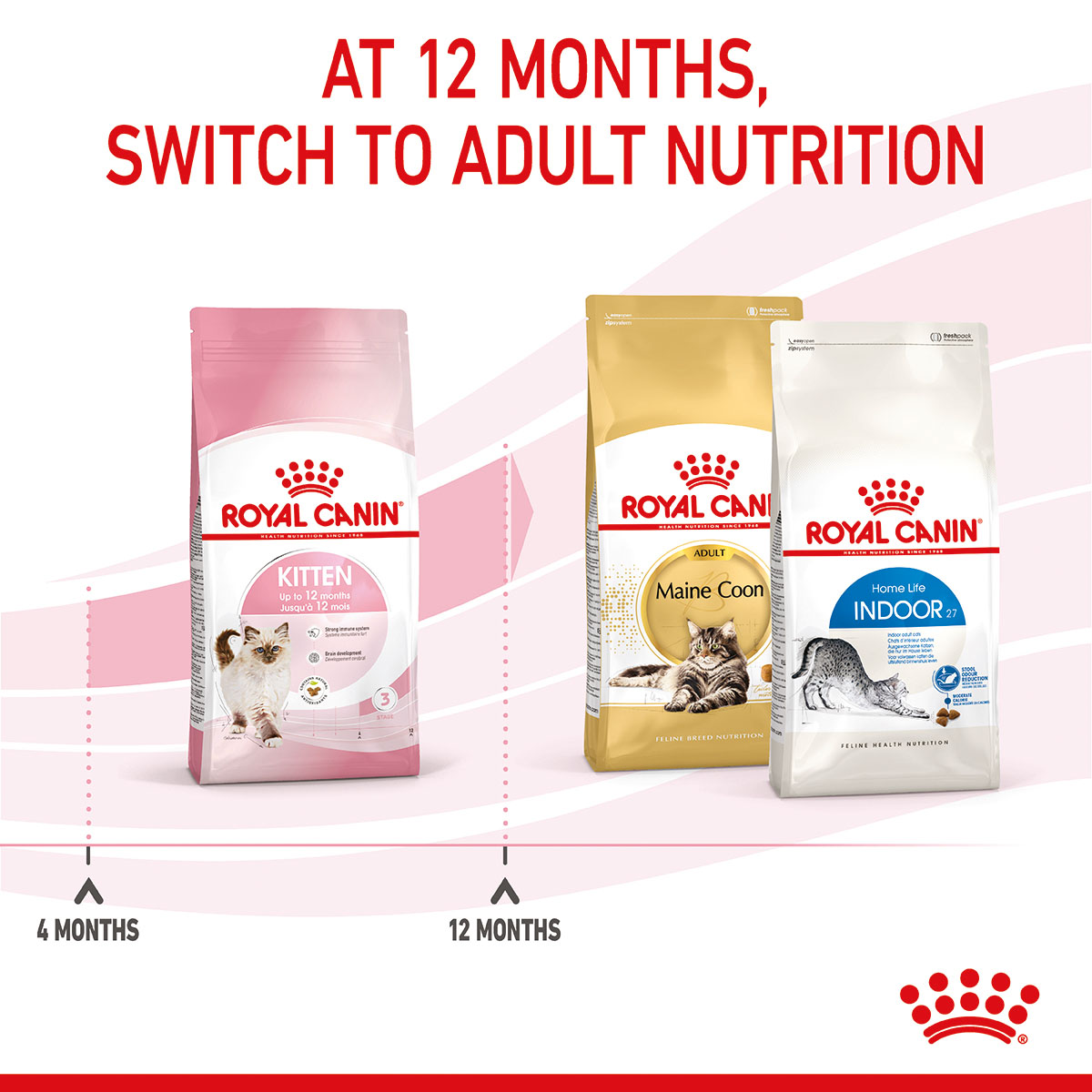 ROYAL CANIN KITTEN Trockenfutter für Kätzchen kaufen