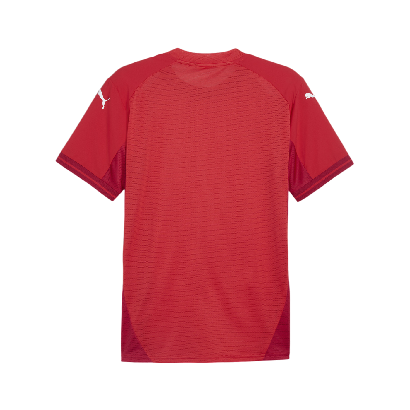 PUMA teamFINAL Trikot Rot Weiss Rot F01