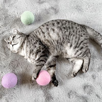 Aumüller Natürliche Wollfilzkugel