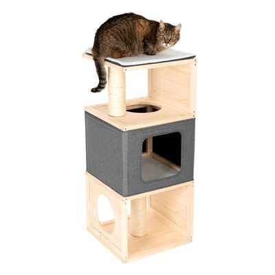 Katzenhaus Cubist