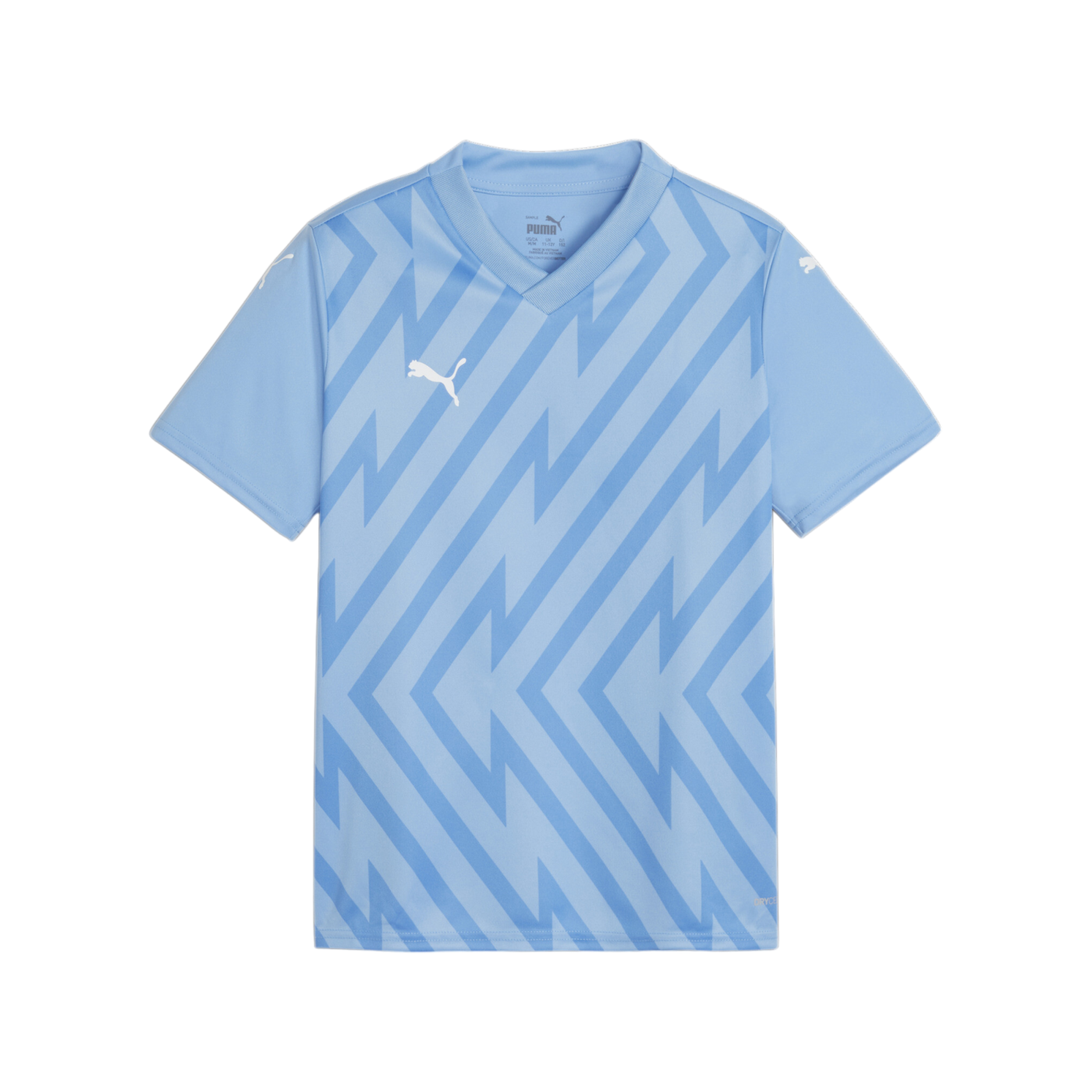 PUMA teamGLORY Trikot Kids Blau Weiss Blau F18