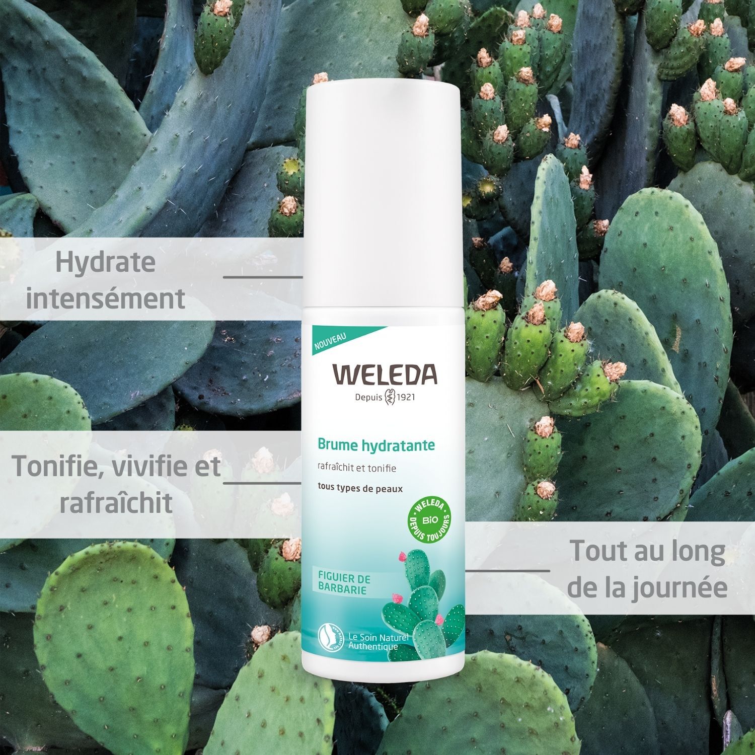 Weleda Figuier de Barbarie Brume Visage Hydratante - Tous Types de Peaux - Rafraîchit et Tonifie - 100 ml