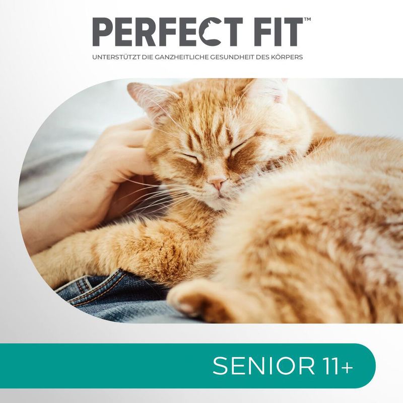 Perfect Fit Senior 11+ reich an Huhn zu TOP-Preisen
