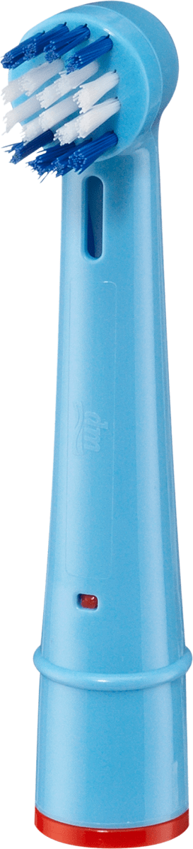 Universal-Aufsteckbürsten Active Young blau, 3 St