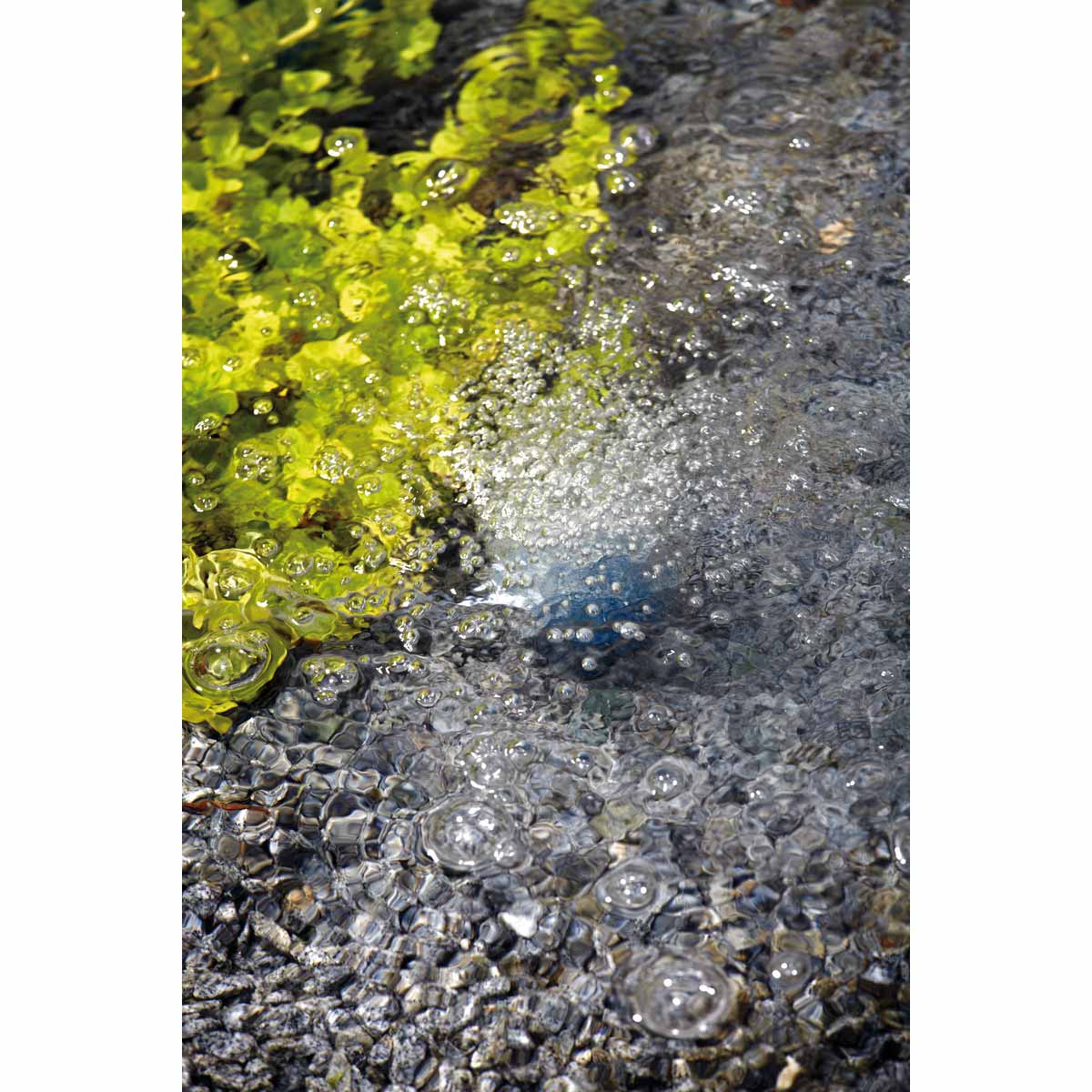 Oase AquaOxy Teichbelüfter günstig kaufen