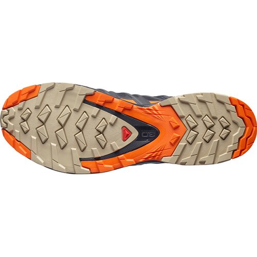 HERREN TRAILRUNNINGSCHUHE XA PRO 3D V8 GTX