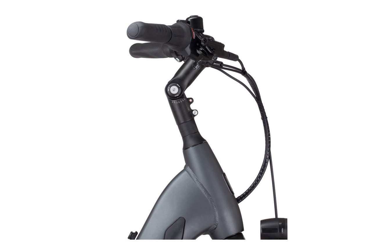 Kettler Traveller E-Gold 5 Plus RT - 500 Wh - 2022 - 28 Zoll - Tiefeinsteiger